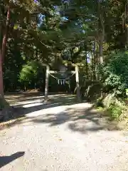 雨櫻神社の鳥居