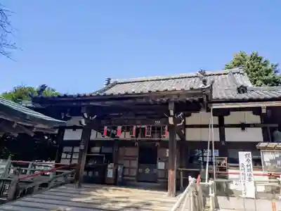 新井薬師（梅照院）(東京都)