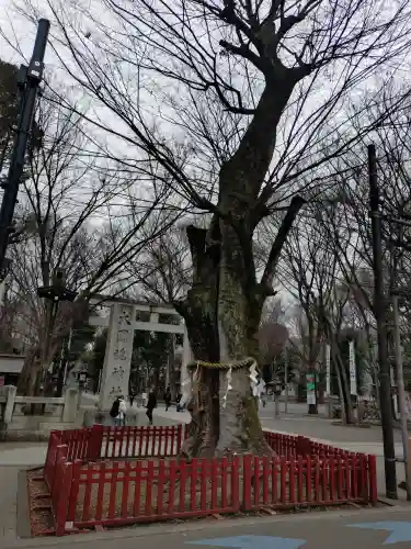 大國魂神社の{uncategorized: "未分類", other: "その他", undefined: "問題あり", building: "その他建物", grave: "お墓", sacred_gate: "鳥居", guardian: "狛犬", statue: "像", buddha: "仏像", history: "歴史", nature: "自然", garden: "庭園", animal: "動物", pagoda: "塔", temizu: "手水舎", mountain_gate: "山門・神門", sanctuary: "本殿・本堂", subordinate: "末社・摂社", art: "芸術", scenery: "景色", jizo: "地蔵", ema: "絵馬", goshuin: "御朱印", omikuji: "おみくじ", items: "授与品その他", amulet: "お守り", goshuincho: "御朱印帳", eats: "食事", festival: "お祭り", votive_dance: "神楽", shichigosan: "七五三参", wedding: "結婚式", experience: "体験その他", initially: "初詣", around: "周辺", anti_infection: "感染症対策"}