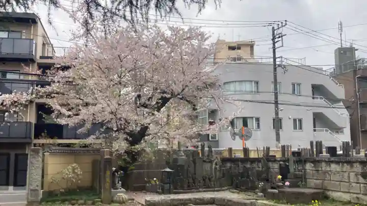 新井薬師(梅照院)(東京都)