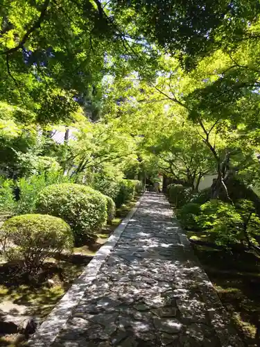 酬恩庵一休寺の庭園