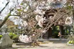 伊勢の国 四天王寺の自然