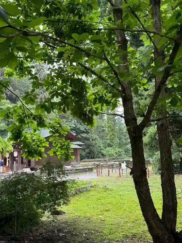 伊佐須美神社(福島県)