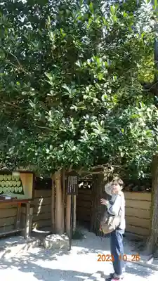 法起院(奈良県)