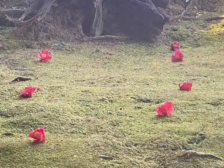 城南宮(京都府)