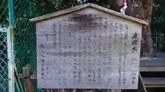 城山八幡宮の歴史