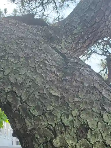 梁田招魂社(栃木県)