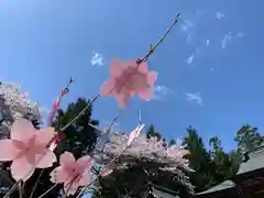 滑川神社 - 仕事と子どもの守り神のおみくじ