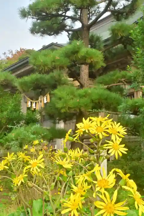 白山媛神社(新潟県)