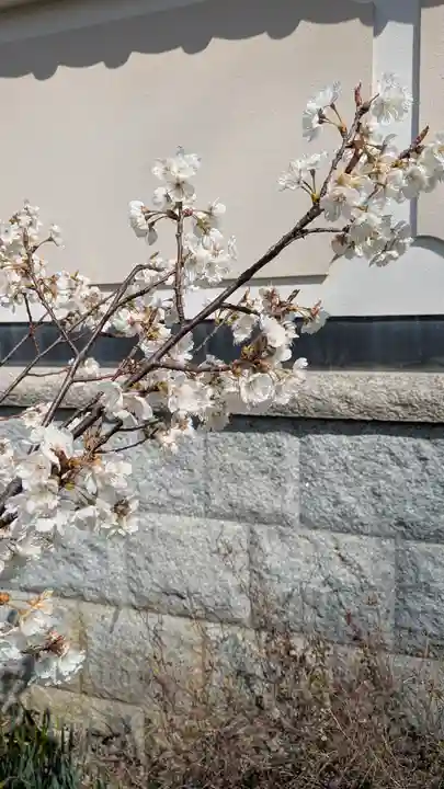 玉田神社(京都府)