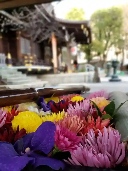 熊野神社の手水舎