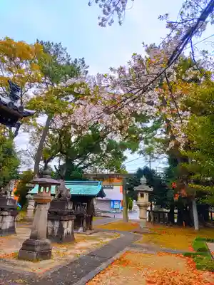 神明社（馬引）の自然