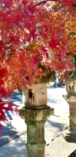 加佐美神社(岐阜県)