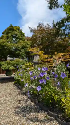 西福寺(京都府)