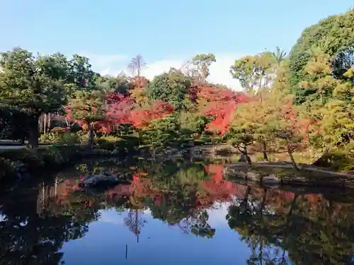 （天安寺）法金剛院の庭園