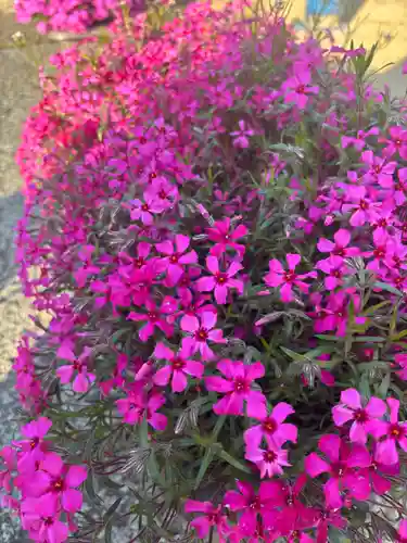大年神社(兵庫県)