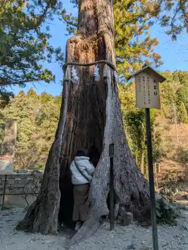 丹生神社（丹生川上神社中社摂社)の{uncategorized: "未分類", other: "その他", undefined: "問題あり", building: "その他建物", grave: "お墓", sacred_gate: "鳥居", guardian: "狛犬", statue: "像", buddha: "仏像", history: "歴史", nature: "自然", garden: "庭園", animal: "動物", pagoda: "塔", temizu: "手水舎", mountain_gate: "山門・神門", sanctuary: "本殿・本堂", subordinate: "末社・摂社", art: "芸術", scenery: "景色", jizo: "地蔵", ema: "絵馬", goshuin: "御朱印", omikuji: "おみくじ", items: "授与品その他", amulet: "お守り", goshuincho: "御朱印帳", eats: "食事", festival: "お祭り", votive_dance: "神楽", shichigosan: "七五三参", wedding: "結婚式", experience: "体験その他", initially: "初詣", around: "周辺", anti_infection: "感染症対策"}
