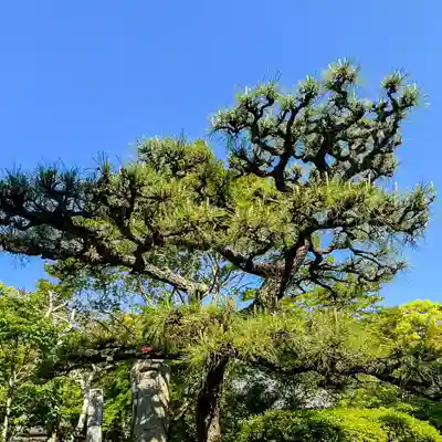 伊勢の国 四天王寺(三重県)