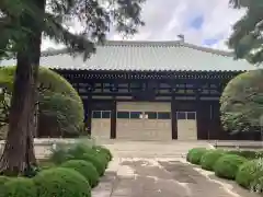 道場寺の本殿