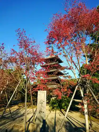 仁和寺の庭園