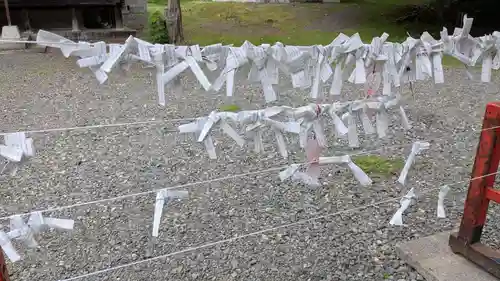 新得神社のおみくじ