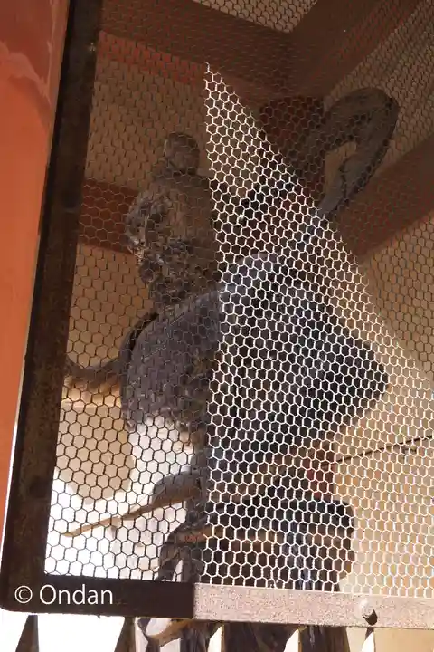 厄除観音寺(長田観音)(和歌山県)