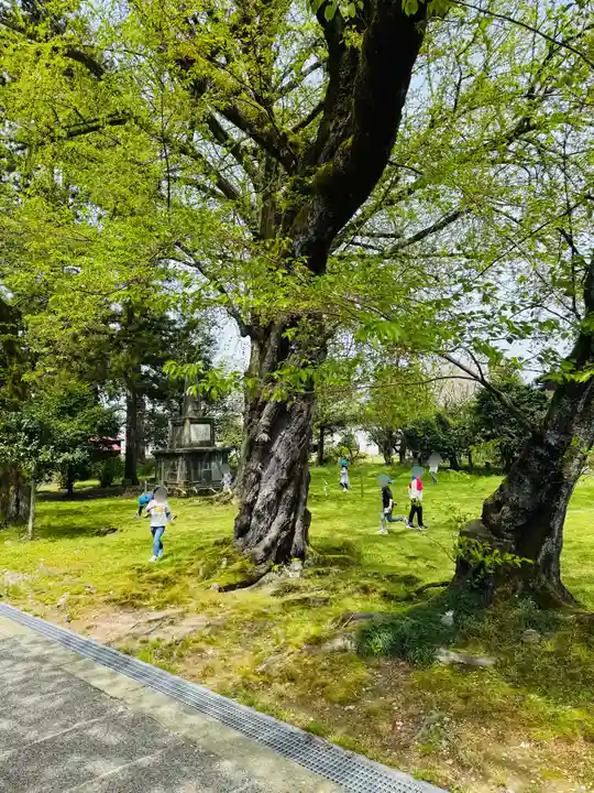 守りの神 藤基神社(新潟県)