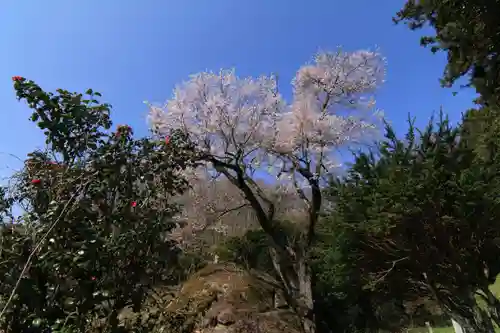 赤岩稲荷神社の自然
