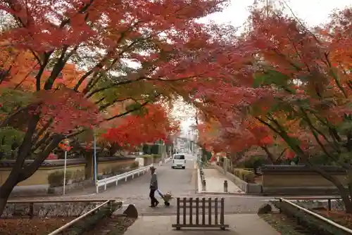 宝珠山　観泉寺の景色