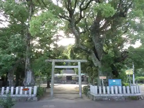 熊野三所大神社（浜の宮王子）の鳥居