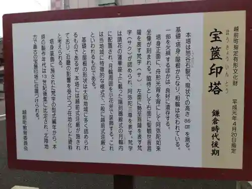 大年神社（劔神社境外摂社）(福井県)