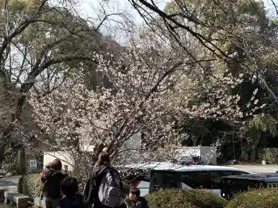 石清水八幡宮の{uncategorized: "未分類", other: "その他", undefined: "問題あり", building: "その他建物", grave: "お墓", sacred_gate: "鳥居", guardian: "狛犬", statue: "像", buddha: "仏像", history: "歴史", nature: "自然", garden: "庭園", animal: "動物", pagoda: "塔", temizu: "手水舎", mountain_gate: "山門・神門", sanctuary: "本殿・本堂", subordinate: "末社・摂社", art: "芸術", scenery: "景色", jizo: "地蔵", ema: "絵馬", goshuin: "御朱印", omikuji: "おみくじ", items: "授与品その他", amulet: "お守り", goshuincho: "御朱印帳", eats: "食事", festival: "お祭り", votive_dance: "神楽", shichigosan: "七五三参", wedding: "結婚式", experience: "体験その他", initially: "初詣", around: "周辺", anti_infection: "感染症対策"}