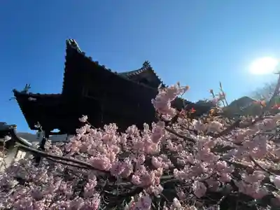 天皇寺(香川県)