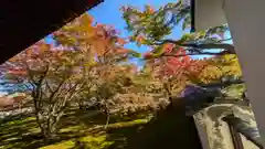 妙覺寺（妙覚寺）(京都府)