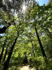 別所神社(長野県)