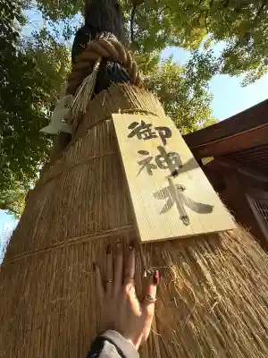 堀越神社の{uncategorized: "未分類", other: "その他", undefined: "問題あり", building: "その他建物", grave: "お墓", sacred_gate: "鳥居", guardian: "狛犬", statue: "像", buddha: "仏像", history: "歴史", nature: "自然", garden: "庭園", animal: "動物", pagoda: "塔", temizu: "手水舎", mountain_gate: "山門・神門", sanctuary: "本殿・本堂", subordinate: "末社・摂社", art: "芸術", scenery: "景色", jizo: "地蔵", ema: "絵馬", goshuin: "御朱印", omikuji: "おみくじ", items: "授与品その他", amulet: "お守り", goshuincho: "御朱印帳", eats: "食事", festival: "お祭り", votive_dance: "神楽", shichigosan: "七五三参", wedding: "結婚式", experience: "体験その他", initially: "初詣", around: "周辺", anti_infection: "感染症対策"}
