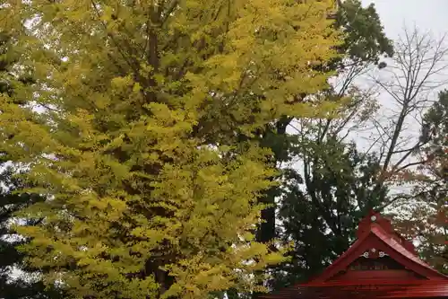 山神社の景色