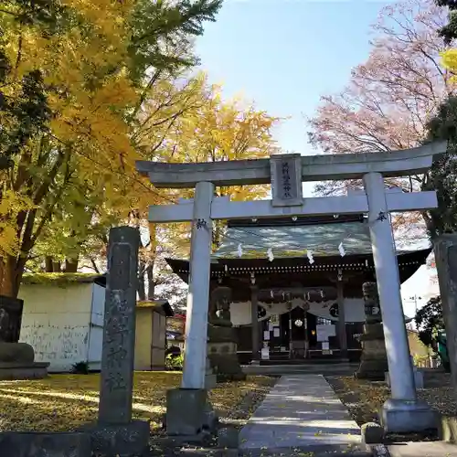 熊野福藏神社の鳥居