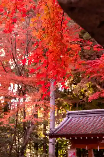 大原野神社(京都府)