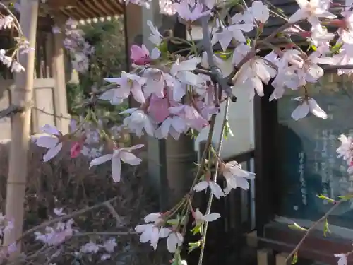 廓信寺(埼玉県)