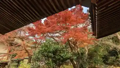 法金剛院(京都府)