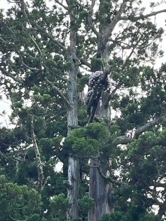 瑞巌寺(宮城県)