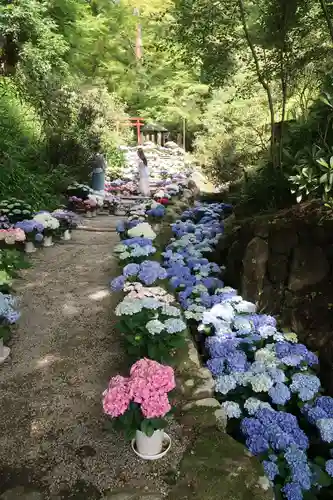 岡寺（龍蓋寺）(奈良県)
