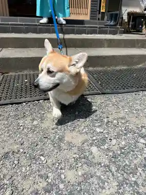 姫宮神社(宮城県)