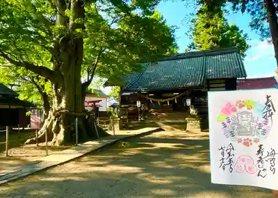 白鳥神社(長野県)