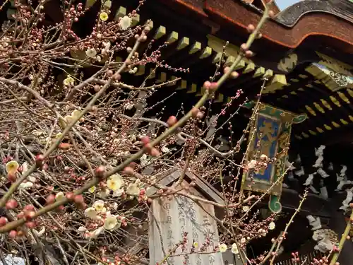 北野天満宮(京都府)