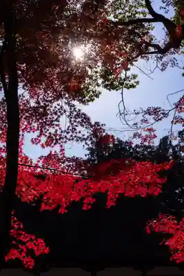 賀茂別雷神社（上賀茂神社）(京都府)