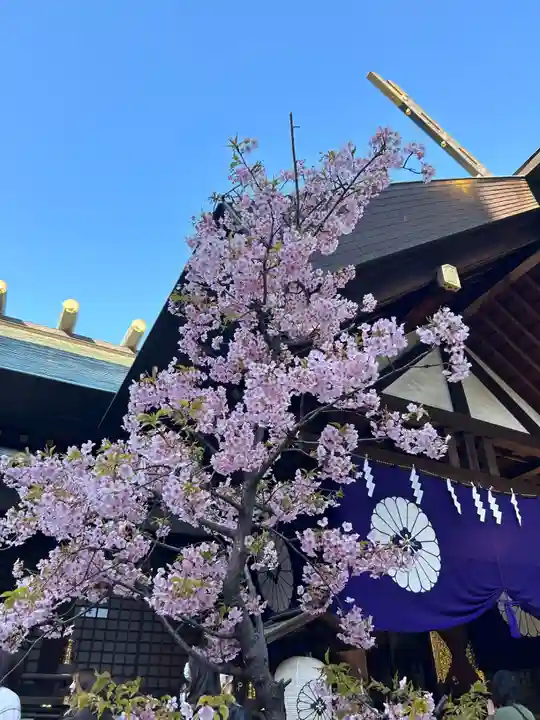東京大神宮(東京都)