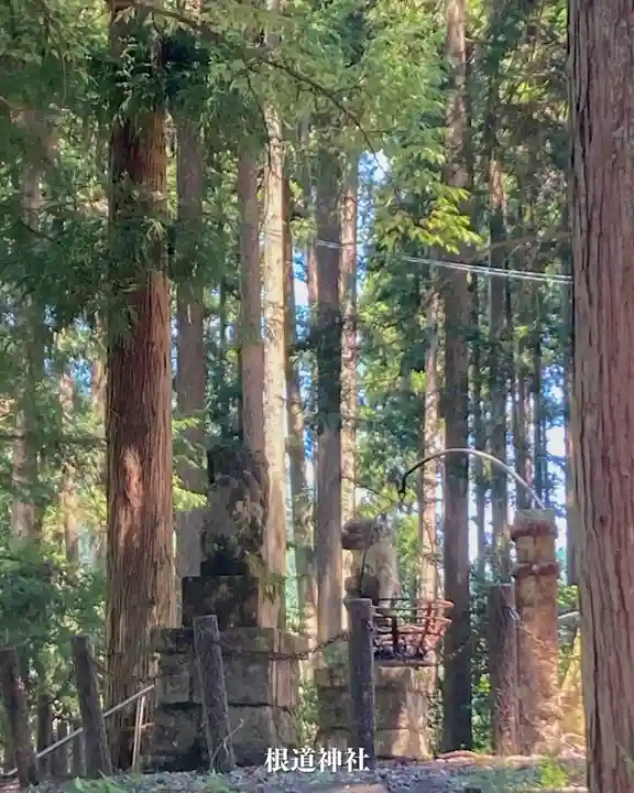 根道神社(岐阜県)