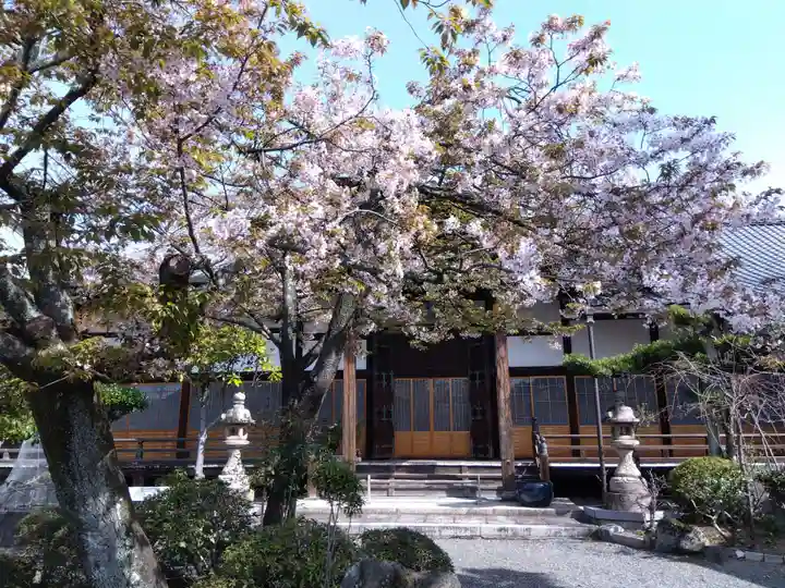 妙傳寺(京都府)